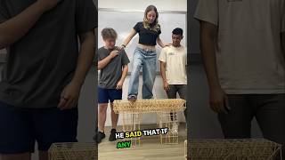 Build a Bridge Using Wooden Sticks shorts [upl. by Nyvar]