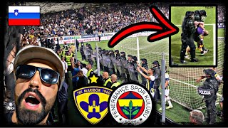 Slovenyada🇸🇮OLAYLI MAÇ 🤯 STATTAN ATILDIK 🤬  NK Maribor vs Fenerbahçe fenerbahçe maribor [upl. by Eisle]