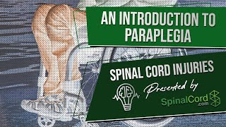 Paraplegic Definition Explained Causes Recovery Prognosis  Paraplegia  Spinal Cord Injury [upl. by Hosbein770]