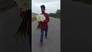 फिरसे मारा comedy dankcomedy funny dank funnymemes bhfyp funnypictures funnypictures [upl. by Island]