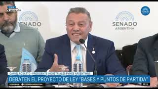 Debaten el proyecto de ley “Bases y puntos de partida”  Daniel Rosato Pte de IPA [upl. by Hasina842]