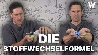 Die ERFOLGREICHE Stoffwechselformel Die besten Strategien für eine effektive Fettverbrennung [upl. by Chandal108]