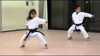 Os Seis Primeiro Kata KARATE SHOTOKAN [upl. by Lemuel]