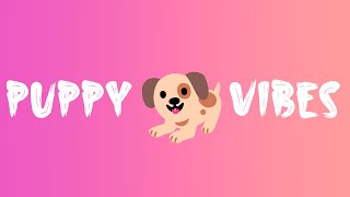 Vibration Sound Your 🐱 Puppy Vibration 🐶 [upl. by Vogele]