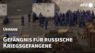 In einem Gefängnis für russische Kriegsgefangene in der Ukraine  AFP [upl. by Ahtinak]