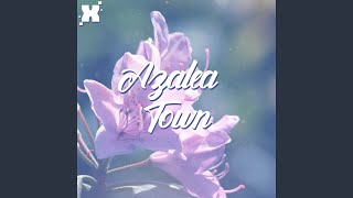 Azalea Town Lofi Version [upl. by Maisel]