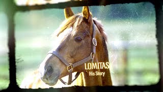 Lomitas – His Story [upl. by Assennej]