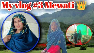 my vlog 3 mewati vlog  mewati vlog video viral  vlog viral video trending video vlog [upl. by Darrelle]