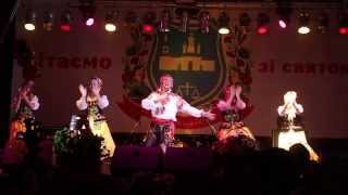 Ukrainian folk song «Oy chorna ya sy chorna» Music group from Ukraine [upl. by Ellennad]