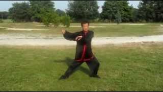 Hunyuan Taijiquan 24  Wang Fengming [upl. by Galligan]