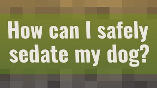 How can I safely sedate my dog [upl. by Boyse]