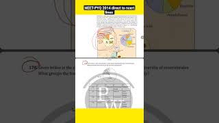 NEETPYQ 2014 direct to ncert lines neet ncert biology neet2025 [upl. by Nahtannhoj]