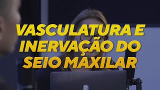 Tudo sobre vasculatura e inervação do seio maxilar [upl. by Rochell630]