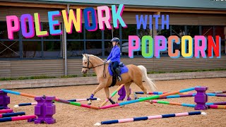 POLEWORK WITH POPCORN  SHOW STOPPING HORSE amp PONY POLE EXERCISES [upl. by Notwal]