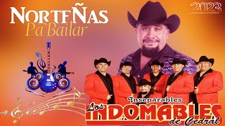 Los Indomables De Cedral Mix 2023  Norteñas Para Bailar  Top 15 Grandes Exitos [upl. by Santiago635]