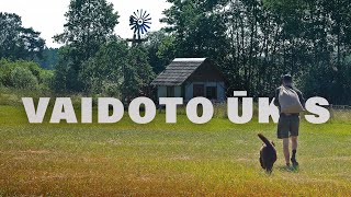 VAIDOTO ŪKIS  NAMELIS VIŠTOMS IR KITI DARBAI  34 [upl. by Ydaj981]