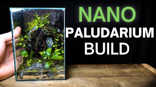 How To Make a Nano Paludarium Step By Step Tutorial [upl. by Pyotr705]