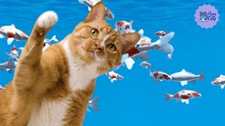 Jogo para Gatos  Pegar o peixe 🐟 Vídeo para Gatos [upl. by Htebazie]