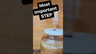 Most Important Step In Making Mead mead homestead [upl. by Warren232]