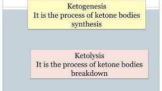 Ketone bodies metabolism [upl. by Abil]