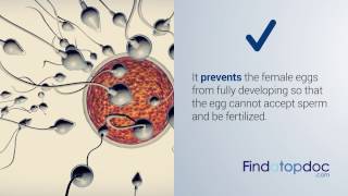 Lo Loestrin Fe Drug for Contraception Side Effects Dosage amp Usage [upl. by Enileuqkcaj]