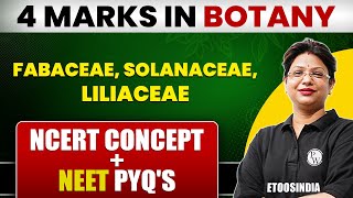 Class 11th – Root – Types  Morphology of Flowering Plants  Tutorials Point [upl. by Denver]