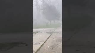 Mandeville resident captures wild video of wind hail from storm that damaged area [upl. by Treblihp]