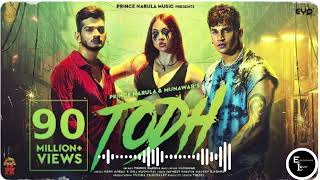 todh song  Todh  Prince Narula amp Munawar  entertainment lover channel [upl. by Rustie164]