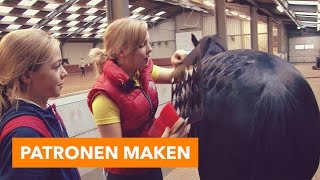 Patronen maken  PaardenpraatTV [upl. by Victor]