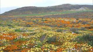 Zak van Niekerk  Wie het al daai blomme geplant [upl. by Lyrak]