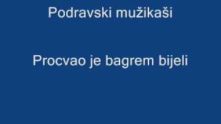 Podravski mužikaši  Procvao je bagrem bijeli [upl. by Chalmer]