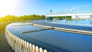 Sludge floating to surface of secondary clarifiers  Activated Sludge Process  Wastewater Treatment [upl. by Nelrsa]