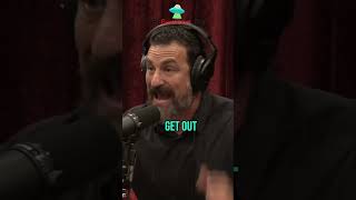 The Science of Smell How Odors Influence Our Behavior jre joerogan [upl. by Mehelhteb727]