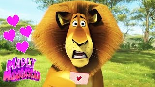 Madly Madagascar ❤️Valentines Day Special ❤️Madly Madagascar Trailer ❤️Madagascar DVD ❤️Kids Movies [upl. by Kazmirci]