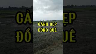 CẢNH ĐẸP ĐỒNG QUÊ P28 CẢNH ĐẸP ĐỒNG QUÊ [upl. by Lotz]