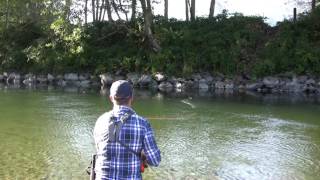 Skagit Spey Rods 79quot Micro Spey [upl. by Stedmann]