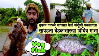 सापडला बेडकासारखा विचित्र मासा 🐸कोकणातील तुफानी वादळी पाऊस ☔ बांदोशी मासाkokan fishing [upl. by Idelle751]