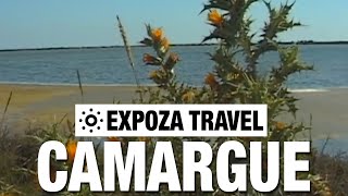 Camargue France Vacation Travel Video Guide [upl. by Naed]