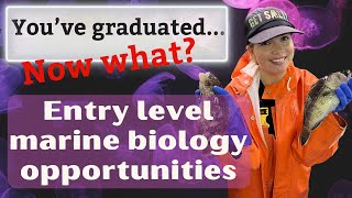 Entry Level Marine Biology Jobs and Opportunities How to get started in Marine Biology [upl. by Yelad]