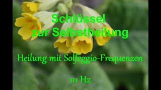 Heilung mit Solfeggio Frequenzen 111 Hz [upl. by Goode403]