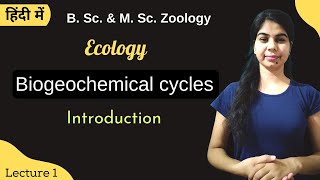 Biogeochemical cycles  Introduction  B Sc amp M Sc  Zoology [upl. by Newhall]