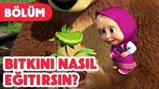 Maşa İle Koca Ayı 🪴 Bitkini nasıl eğitirsin 😋 Bölüm 99 Yeni bölüm 2024💥🎬 [upl. by Skyler198]