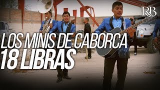 Los Minis de Caborca  18 Libras Official Video [upl. by Ellimaj83]