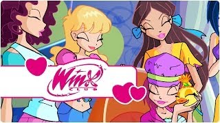 Winx Club  Season 4 Episode 15  Magic lessons clip2 [upl. by Phox171]