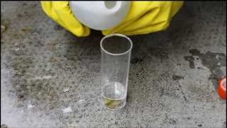 Saltingout of sodium chloride by adding of hydrochloric acid [upl. by Hetti]