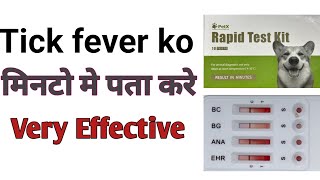 How to detect tick fever in dogs Rapid Test Kit method [upl. by Anrehs]