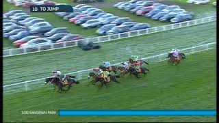 2014 Tingle Creek Chase [upl. by Edny26]