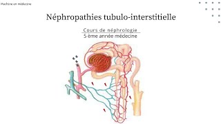 Néphropathie tubulointerstitielle chronique quotNTICquot nephro [upl. by Dietz71]