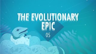 The Evolutionary Epic Crash Course Big History 5 [upl. by Ehcnalb]