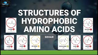 Polar amp NonPolar Molecules Crash Course Chemistry 23 [upl. by Corkhill385]